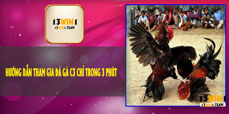 Hướng Dẫn Tham Gia Đá Gà C3 Chỉ Trong 3 Phút