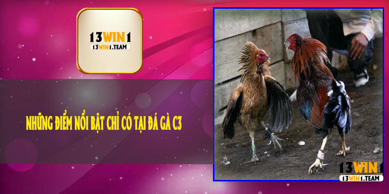 Những Điểm Nổi Bật Chỉ Có Tại Đá Gà C3